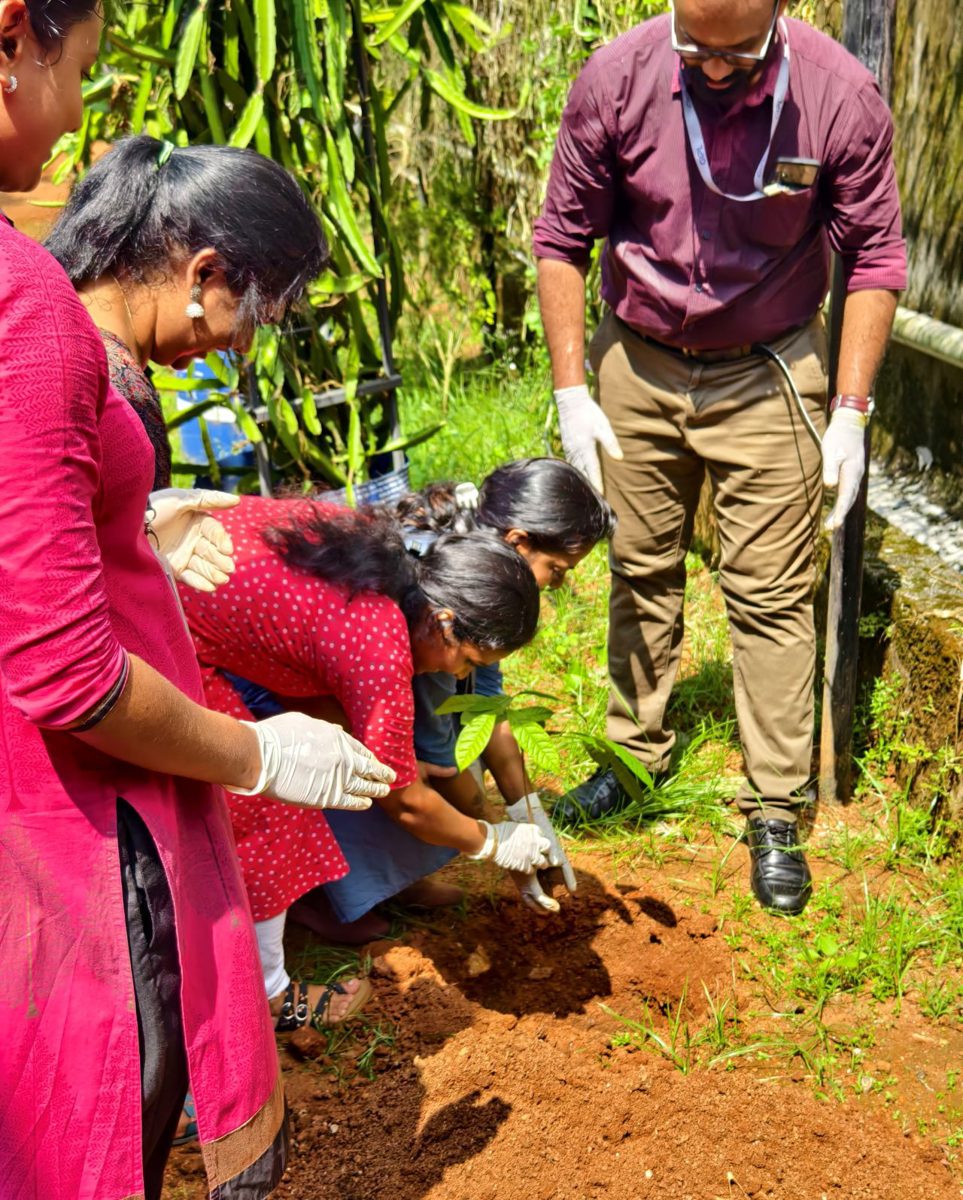 Tree planting initiative
